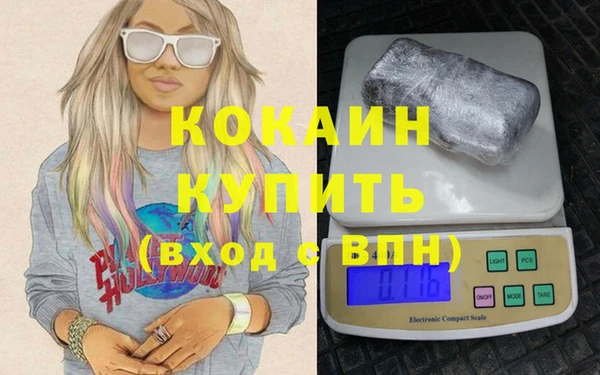 шишки Белокуриха